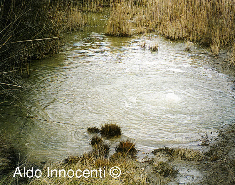 ACQUA BOLLE: LAGHETTO
